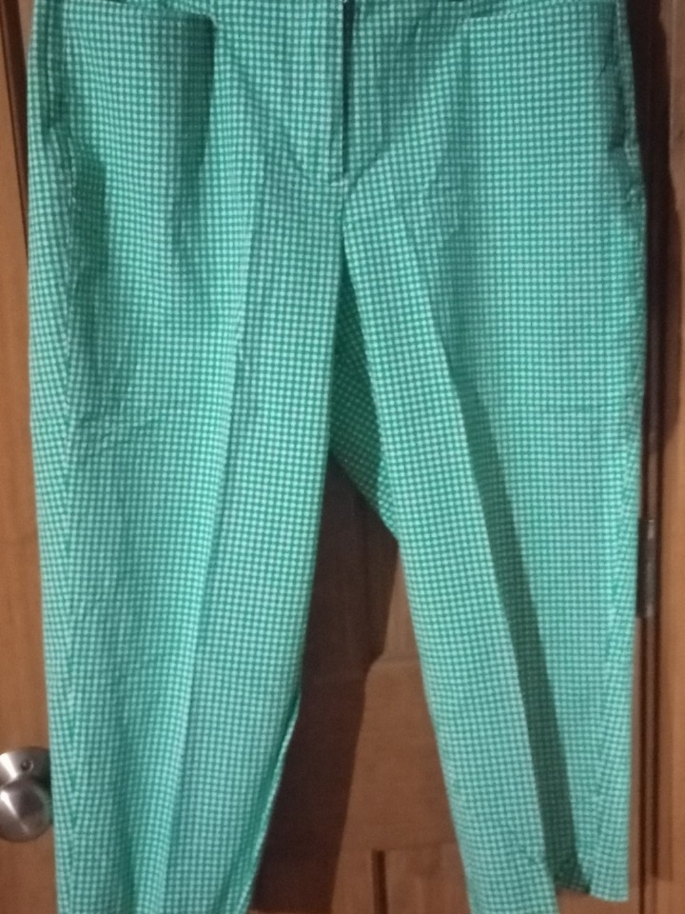 Talbots Green Gingham Chinos